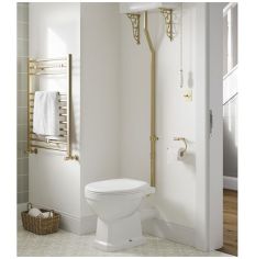 Tabo Primrose Brushed Brass High Level WC & Standard Soft Close Seat