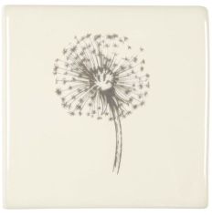 Winchester Classic Dandelion 10.5 x 10.5cm