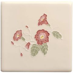 Winchester Classic Floral Tubelined Sea Bindweed 12.7 x 12.7cm